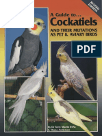 A Guide To Cockatiels