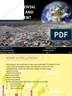 Environmental Pollution