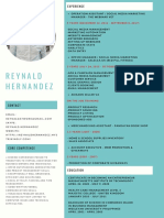 Reynald Hernandez: Experience