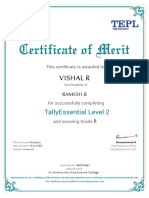 Vishal R: Tallyessential Level 2