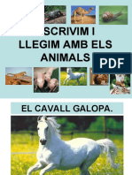 Animals Amb Frases