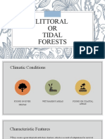 Littoral or Tidal Forests