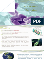 Bacterias