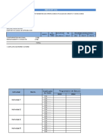 Formato de Programa Multianua 2023 2025