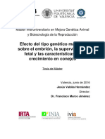 Efecto Del Tipo Genético Materno Sobre El Embrión, La Supervivencia Fetal y Las Caracter...