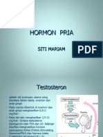 Hormon Pria