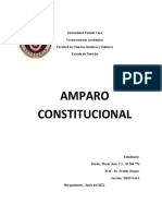 Amparo Constitucional Venezuela