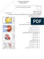 الإصلاح