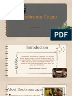 Theobroma Cacao 1