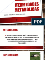 Enfermedades Metabolicas - Ortiz Matta Sebastian Alonso