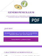 Seminario Penicillium