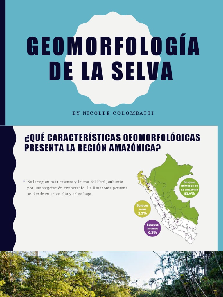 Geomorfología de la Selva Peruana | PDF | Tecnología