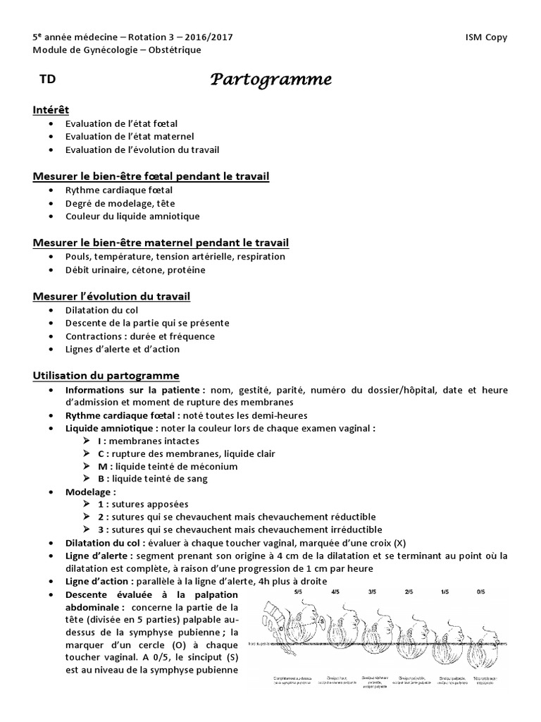 Partogramme | PDF | Reproduction humaine | Médecine