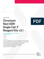 Chromium Next GEM Single Cell 3 Reagent Kits v3.1: User Guide