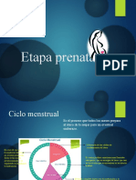 Etapa Prenatal