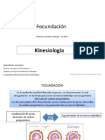 Fecundacion