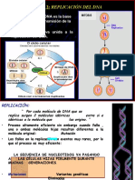 Replicación