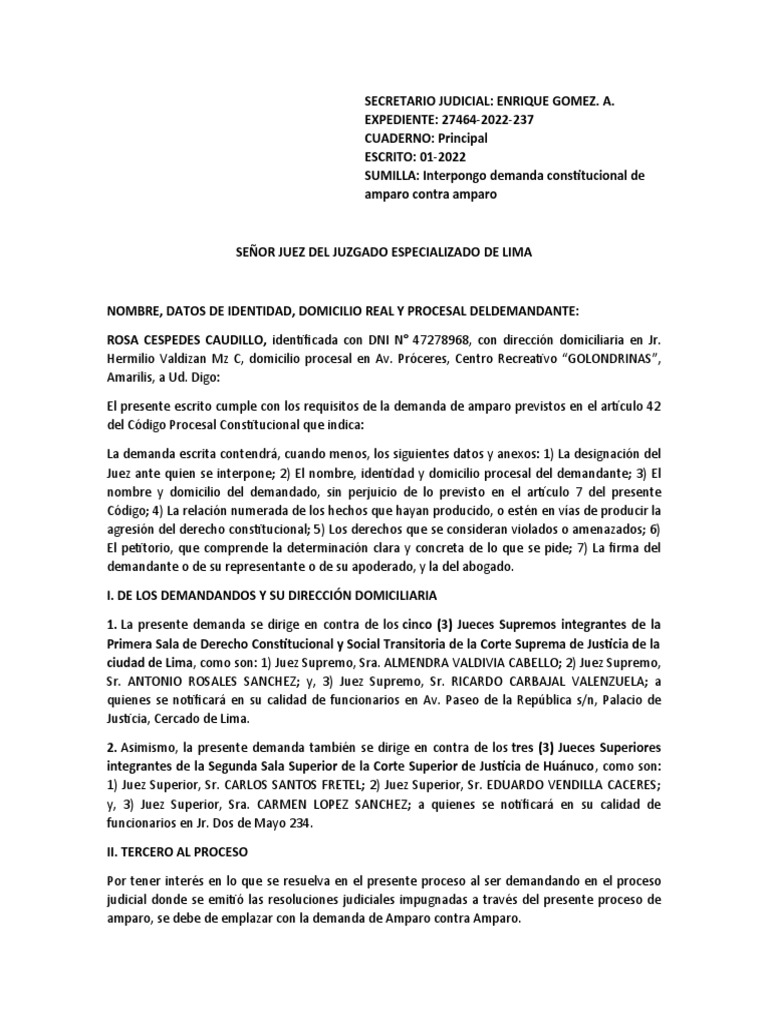 Demanda de Amparo contra Resoluciones Judiciales | PDF | Ley procesal ...