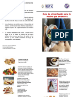 Diptico Alimentacion Puerpera