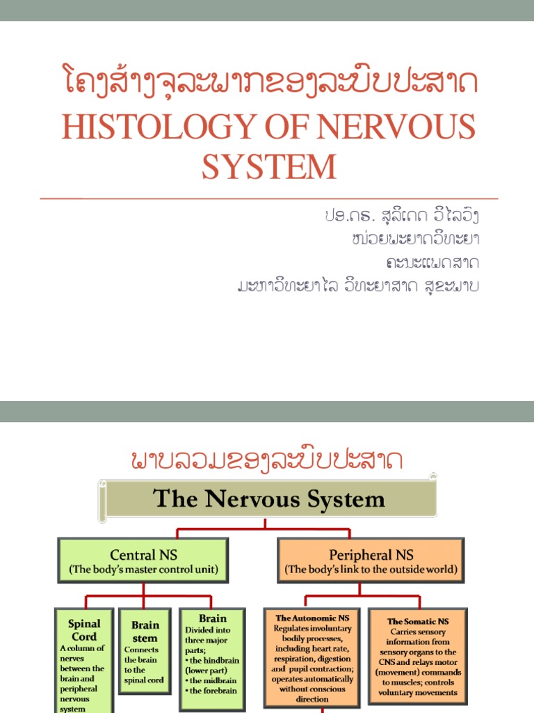 Histology of CNS and PNS Biology Diagrams