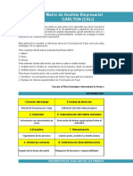 Plantilla Matriz de Analisis