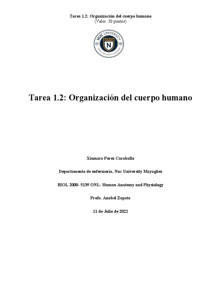 Organización del Cuerpo Humano | PDF | Términos anatómicos de ubicación ...