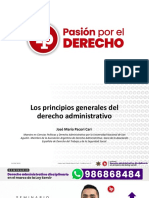 Los principios generales del derecho administrativo PDF gratis