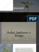 Fase 4 Salud Ambiental