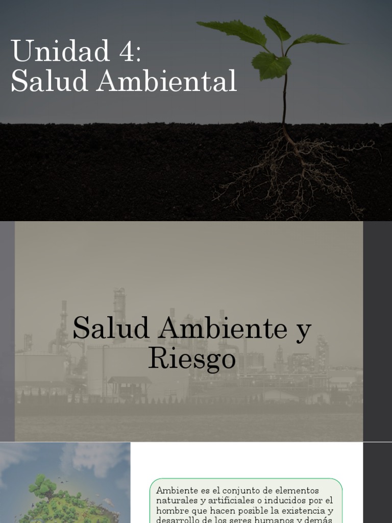 Salud y Medio Ambiente: Interacciones Clave | PDF | Salud Ambiental | Piel