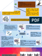 Infografia Transmisiones Guanotasig Jonathan