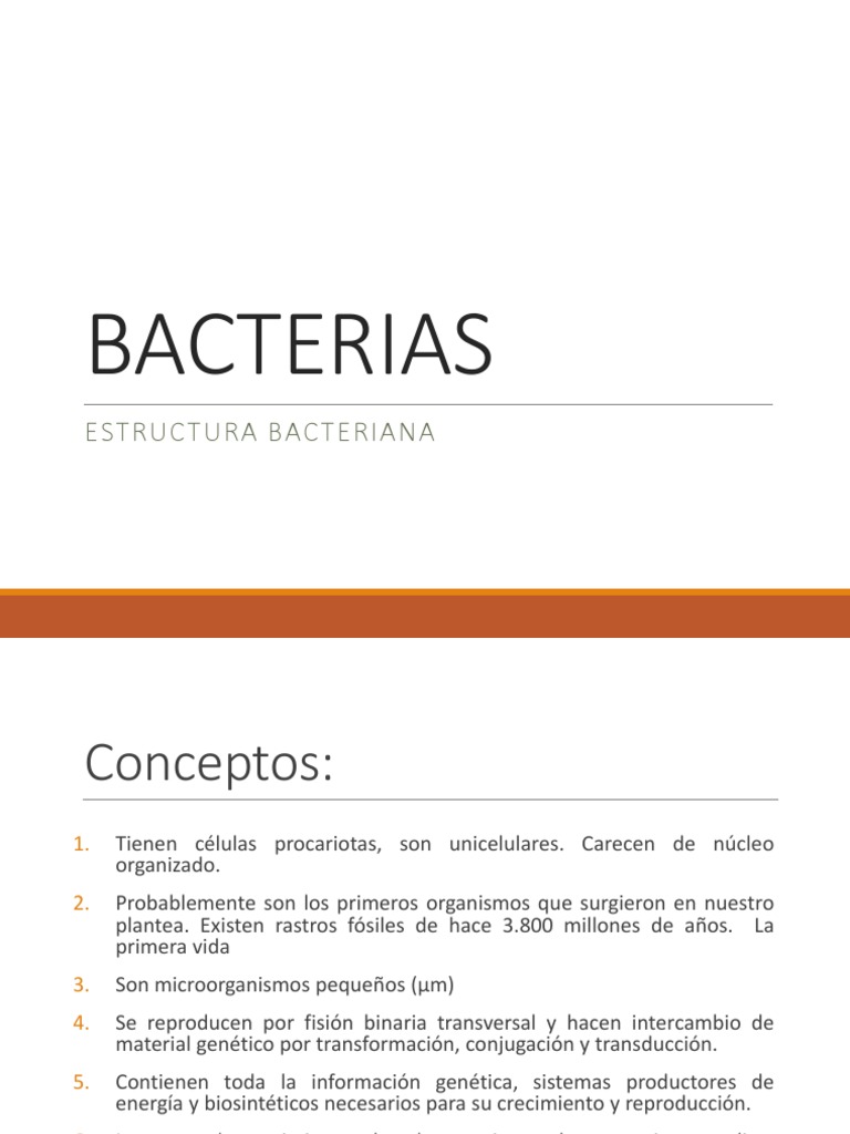 Estructura y Función de Bacterias | PDF | Las bacterias | Biología Celular)