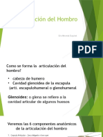 Articulación Del Hombro