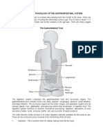 Anatomy and Physiology of The Gastrointestinal System