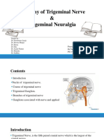 Anatomy of Trigeminal Nerve & Trigeminal Neuralgia: Presented By: DR - Vansh Vardhan Madahar PG1 Year