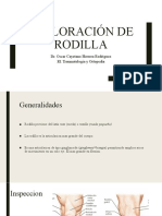 Exploracion de Rodilla