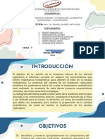 (Semana 2) Topografía Interna y Externa de Los Dientes Anteriores y Posteriores - Teoria