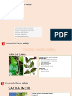 Plantas Medicinales