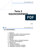 Tema 2 - Equinoderms