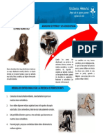 2022 - Charla Semanal N°27 Control de Perros en SMCV