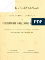 Pseudoncholaimus Dujardinii (DeMan 1876)