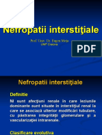 Curs 2 Nefropatii Interstitiale