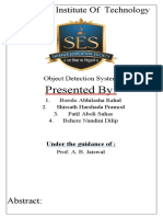 Object Detection System