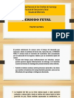 Periodo Fetal