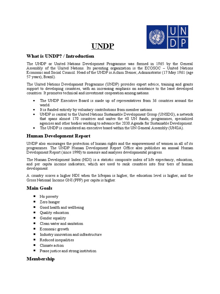 What Is UNDP? / Introduction | PDF | United Nations Development ...