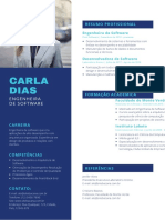 Carla Dias: Resumo Profissional