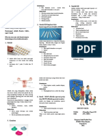 Leaflet KB Erlin