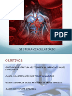 Sistema Circulatorio 2022 Farma