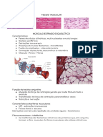 Tecido Muscular