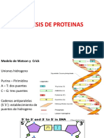 Sintesis de Proteinas Biologia General