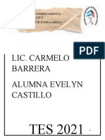 Lic. Carmelo Barrera Alumna Evelyn Castillo: C.E.M No Gubernamental Tecnologico Nestor Danilo Amaya